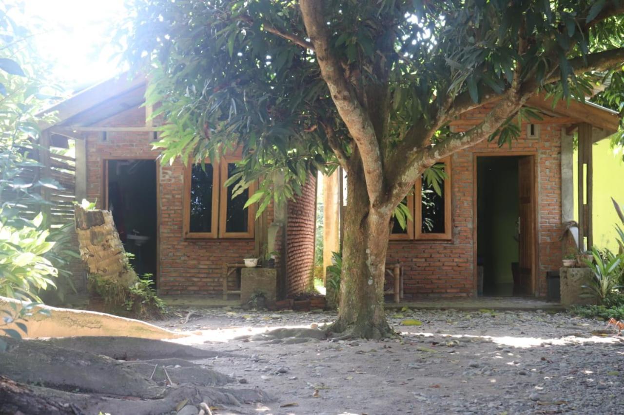 Jhony'S Backpacker-Guest House Only Stay Here Book Treking With Us Bukit Lawang Exterior photo