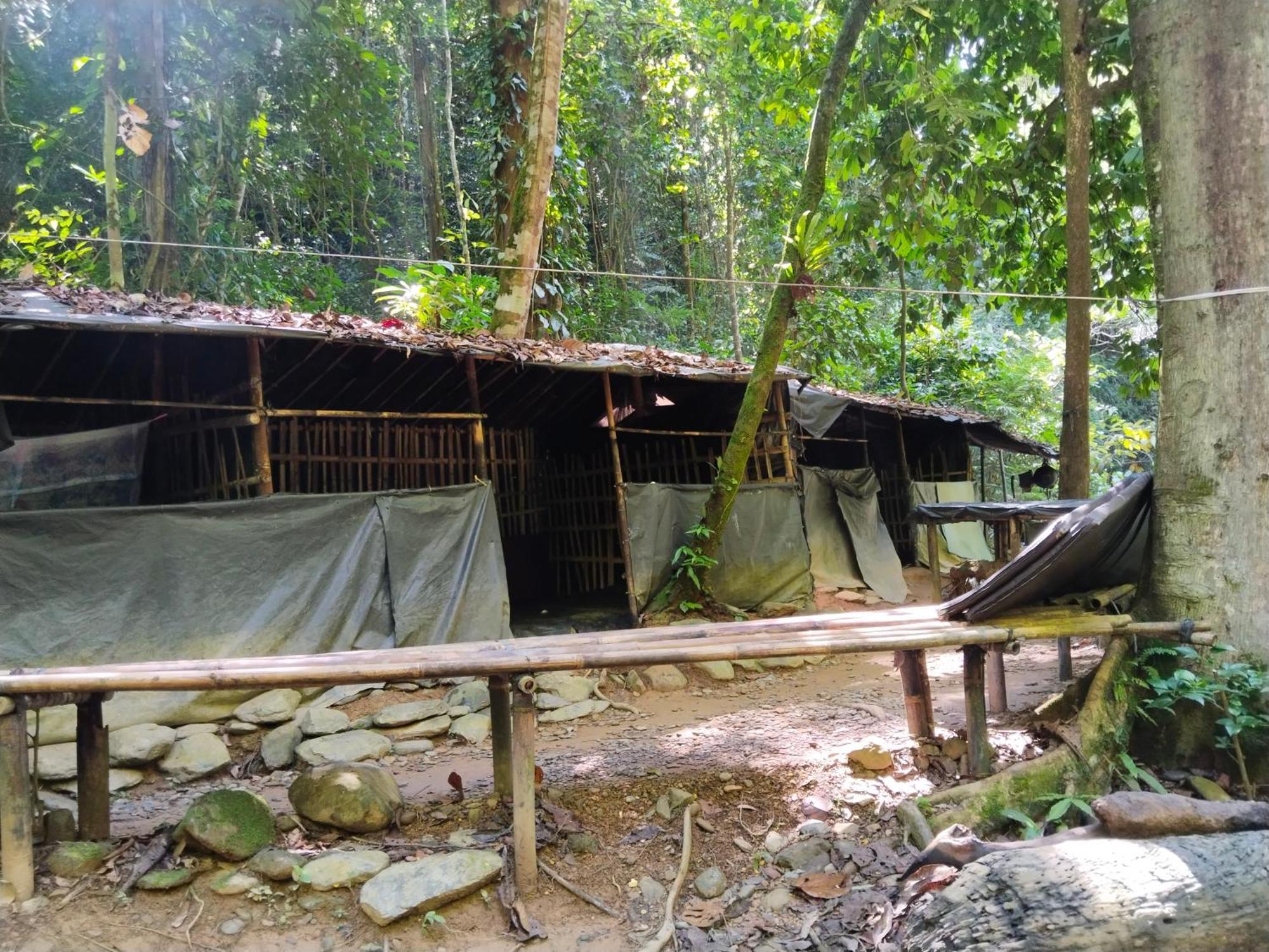 Jhony'S Backpacker-Guest House Only Stay Here Book Treking With Us Bukit Lawang Exterior photo