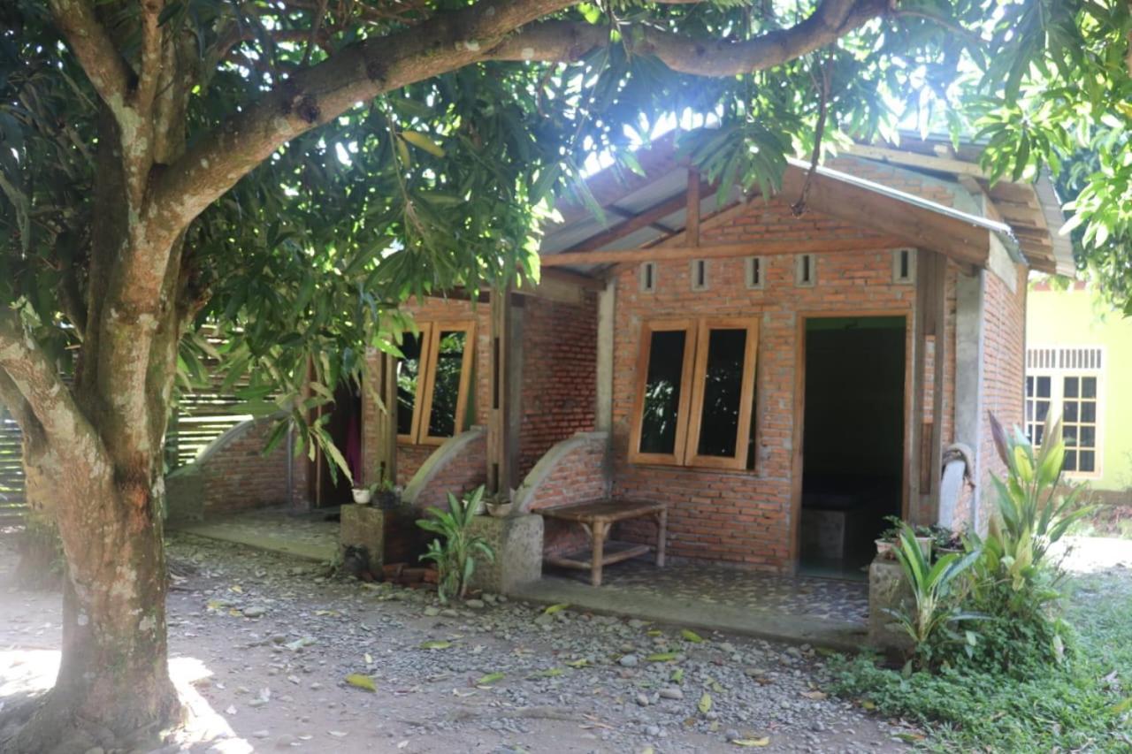 Jhony'S Backpacker-Guest House Only Stay Here Book Treking With Us Bukit Lawang Exterior photo